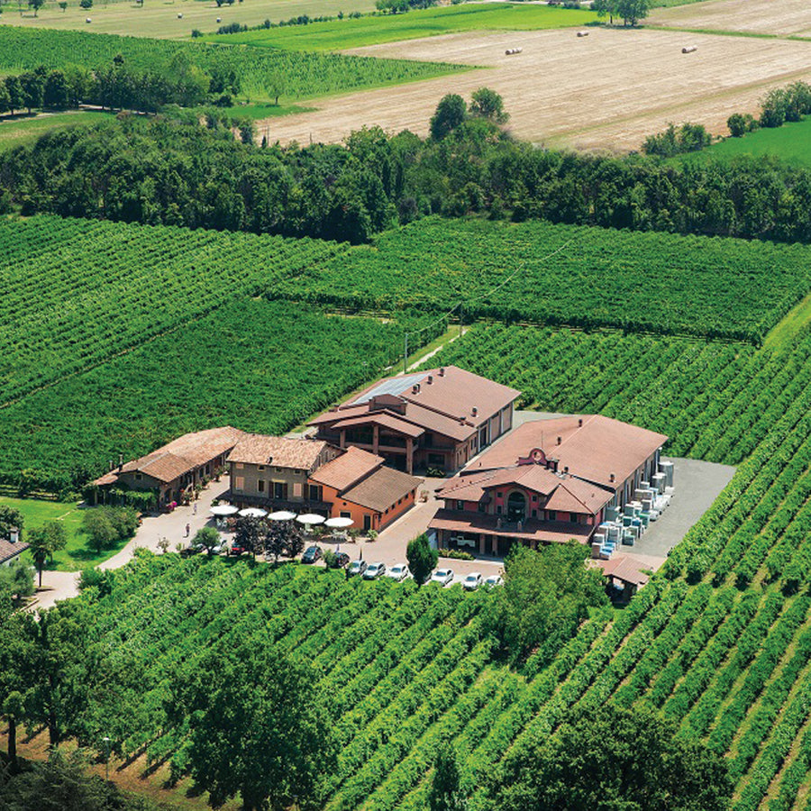 Aceto Balsamico di Modena