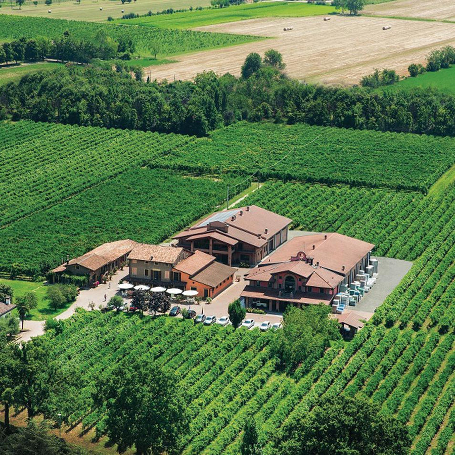 White Wine Vinegar by Acetaia Leonardi (250ml)