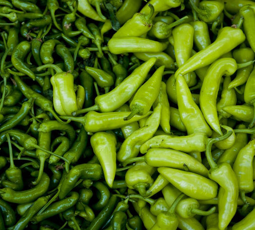 Sweet and sour green peppers with onions